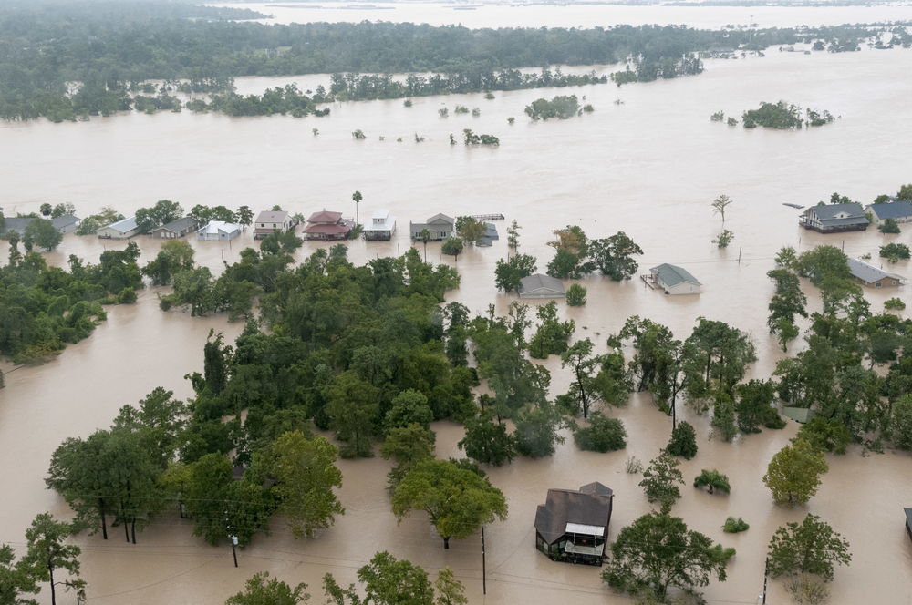 Featured image for “Houston Public Media Delivers During Hurricane Harvey”